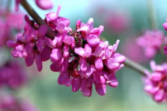 손자병법 작전편 전쟁 국력 역사_18