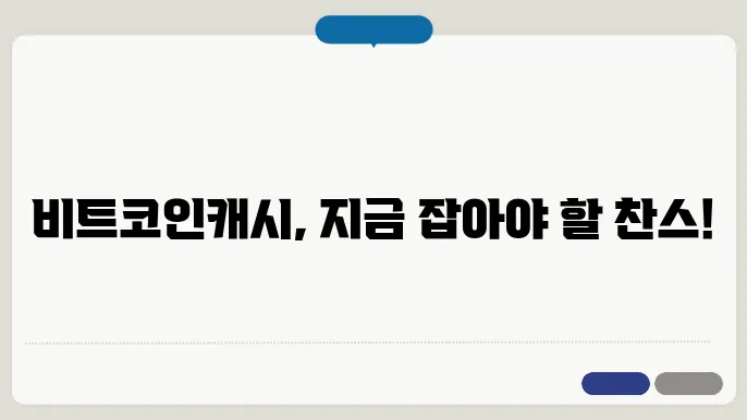 비트코인캐시의 다양한 변수들 포착