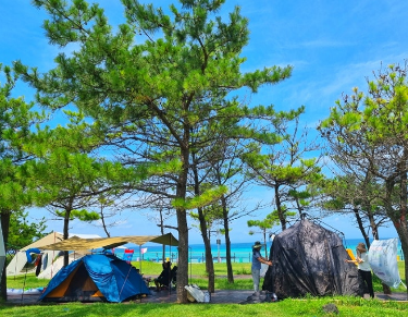 제주 김령 캠핑장