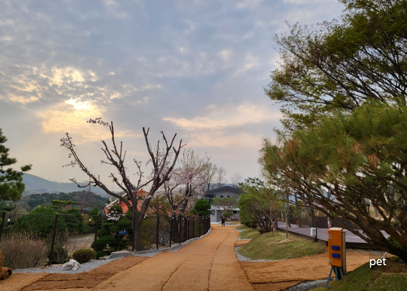 경기-하남-따봄캠핑장-예약-방법-애견-동반-가격-주소-시간-후기