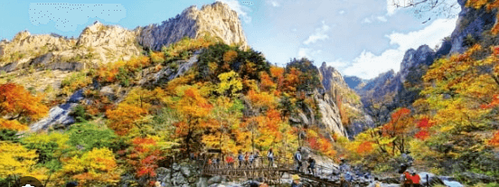 2024 설악산 단풍시기와 탐방코스 및 예약 방법
