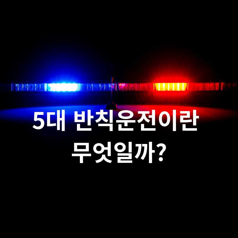 5대 반칙운전 집중단속