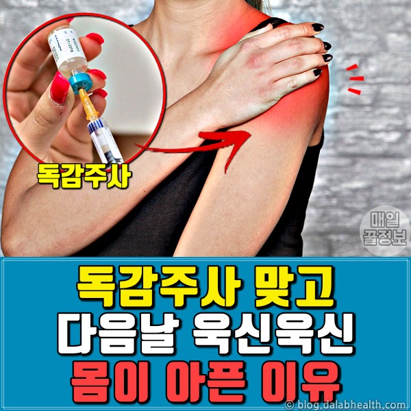 독감주사 맞고 열 감기 몸살 부작용 아픈 이유,팁줌