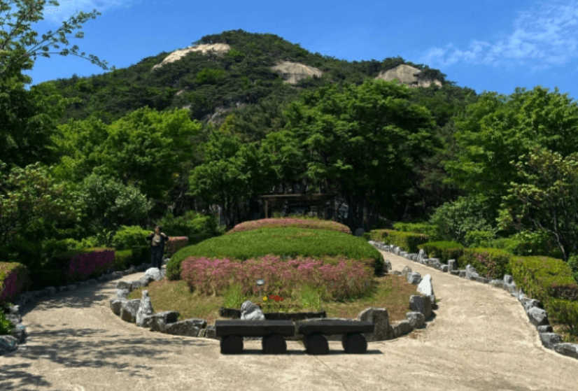 청와대 관람신청, 야간개장(야간관람신청)