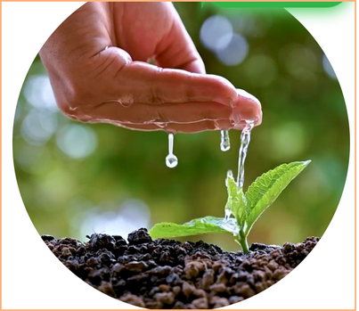 탄소중립을 위한 생활 실천