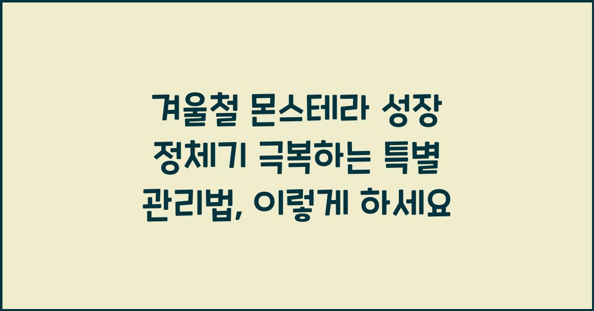 겨울철 몬스테라 성장 정체기 극복하는 특별 관리법