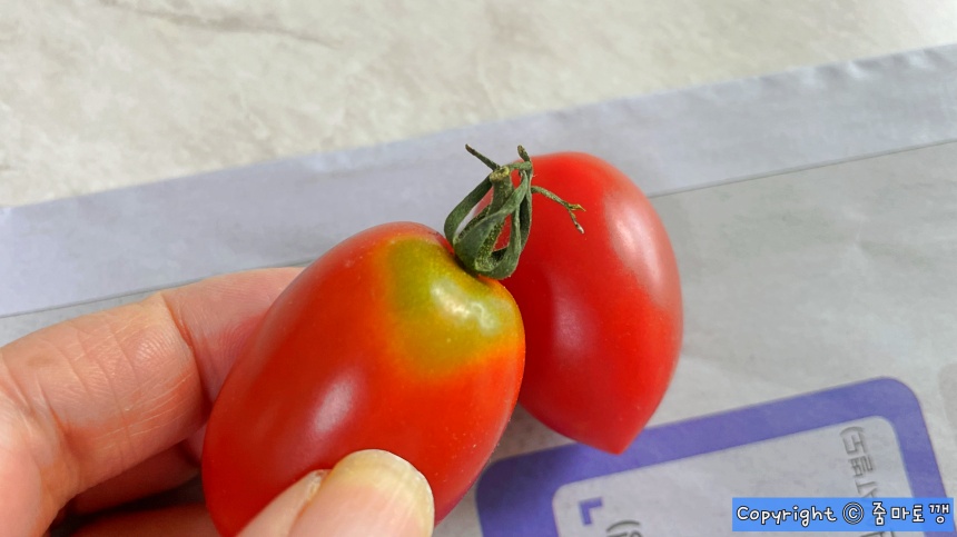 방울토마토-꼭지