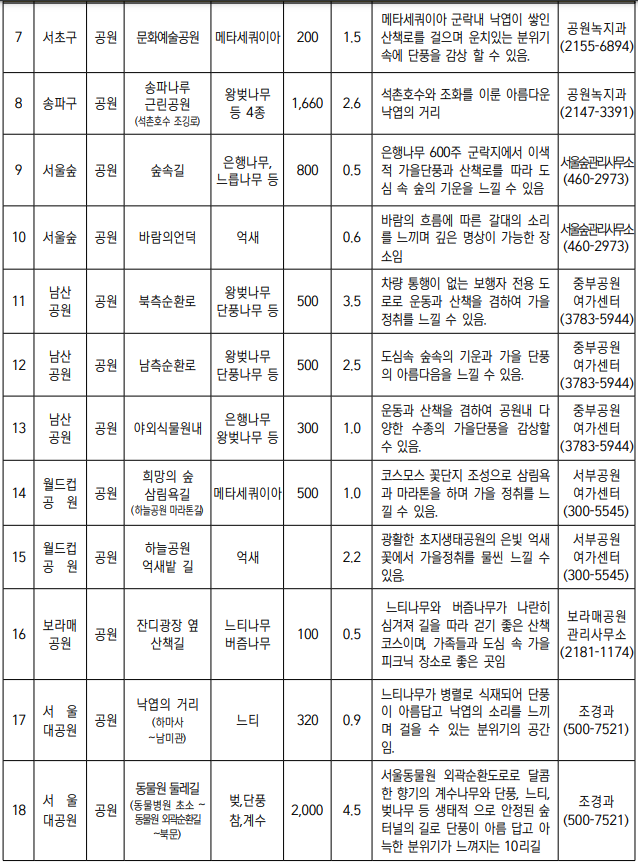 서울 단풍길 99선 소개