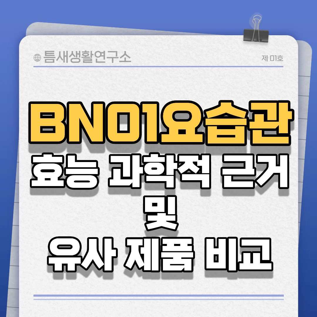 BN01요습관-썸네일