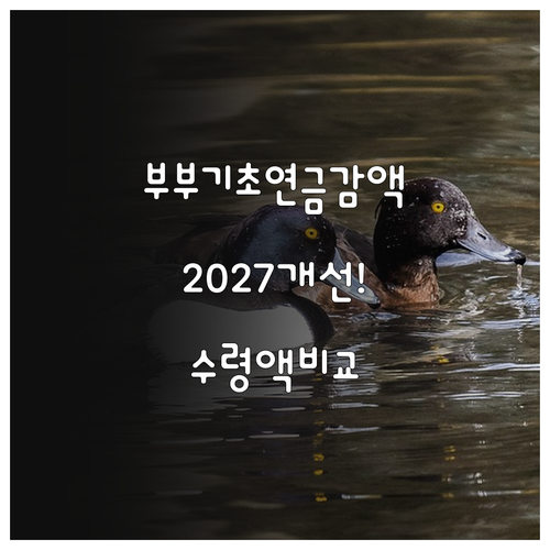 부부 기초연금 감액 제도 2027년 ..
