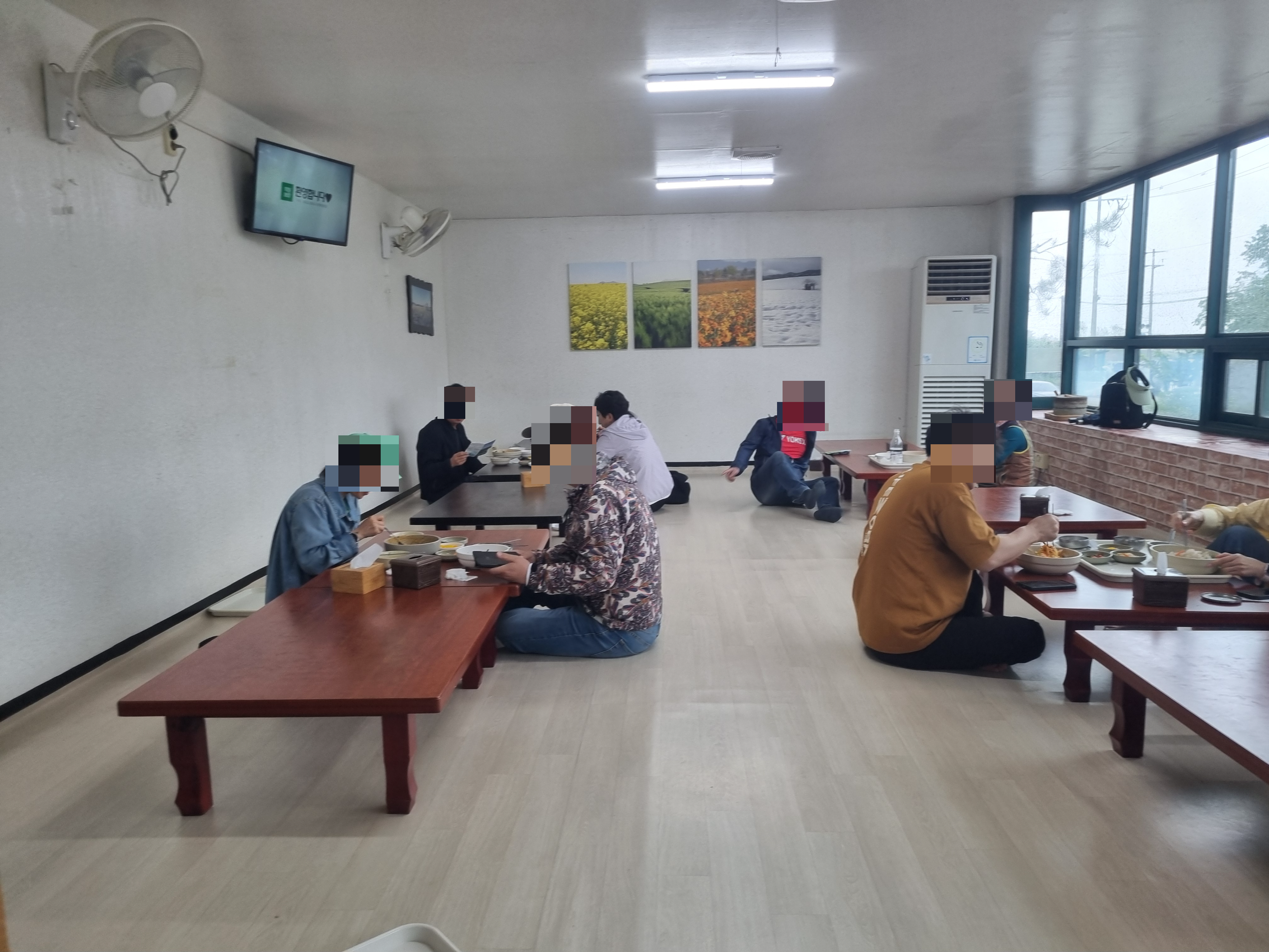 고창 청보리밭축제