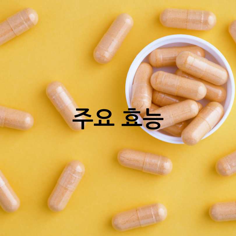 간에좋은영양제