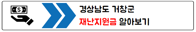 재난지원금