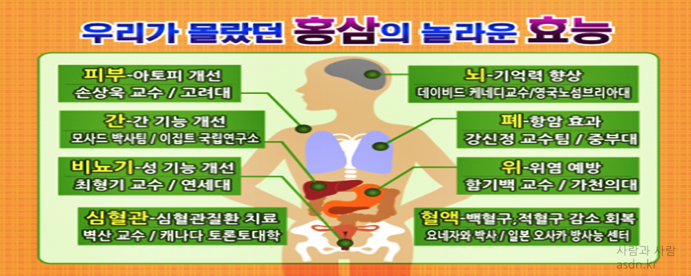 정관장 홍삼 효능 효과,성분,가격,부작용 총정리