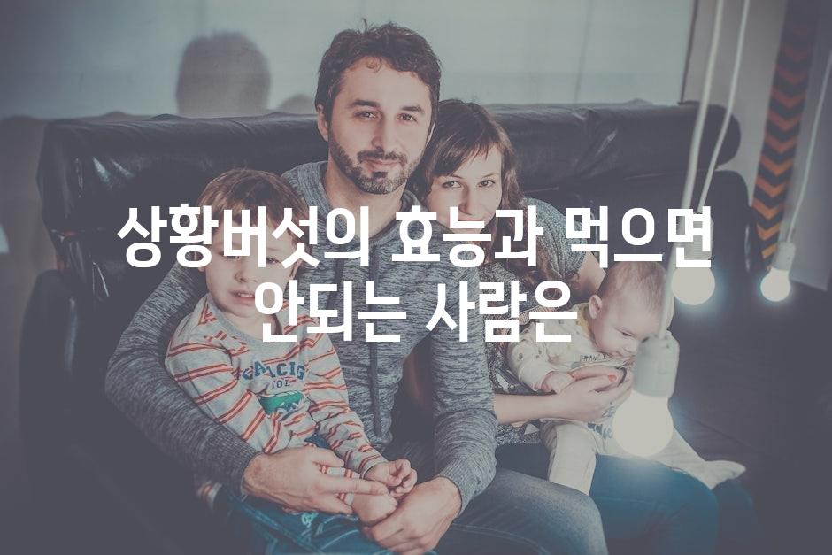 샘플 (30)