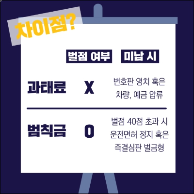 벌점여부