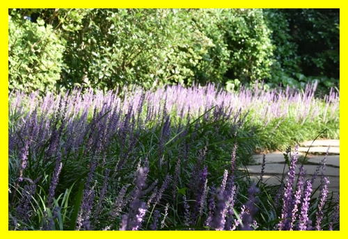 제주여행&amp;#44; 카멜리아힐&amp;#44; 제주 카멜리아힐&amp;#44; 제주 가볼만한곳&amp;#44; 제주 동백꽃 명소&amp;#44; 제주 수국 명소&amp;#44; 제주 감성 여행지&amp;#44; 서귀포 가볼만한곳&amp;#44; 제주 사진 명소&amp;#44; 제주 핫플레이스