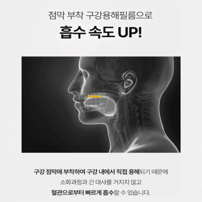 비엘피 제로셋 내돈내산 후기 효능 부작용 먹는 법 가격