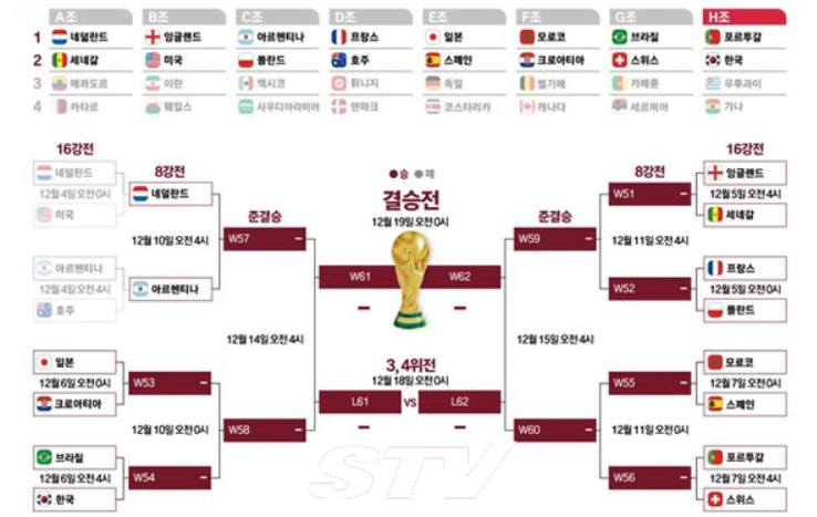 카타르 월드컵 16강 포상금