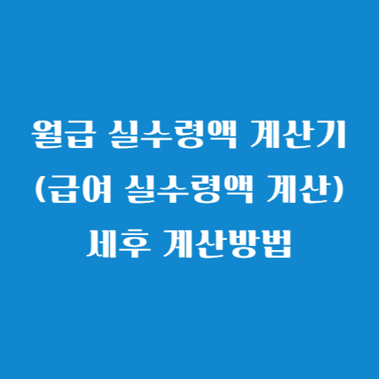 월급 실수령액 계산기 (급여 실수령액 계산) 세후 계산방법