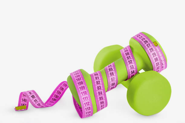 다이어트 정체기 음식 몸무게 유산소 한달 운동 식단 기간 극복 탄수화물 방법 칼로리 섭취 세트포인트 항상성 단백질 열발생 신진 대사