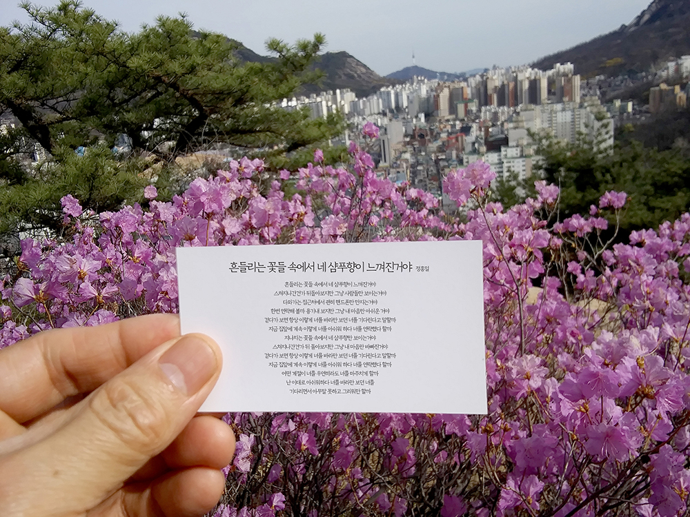 정홍일의 '흔들리는 꽃들 속에서 네 샴푸향이 느껴진거야'