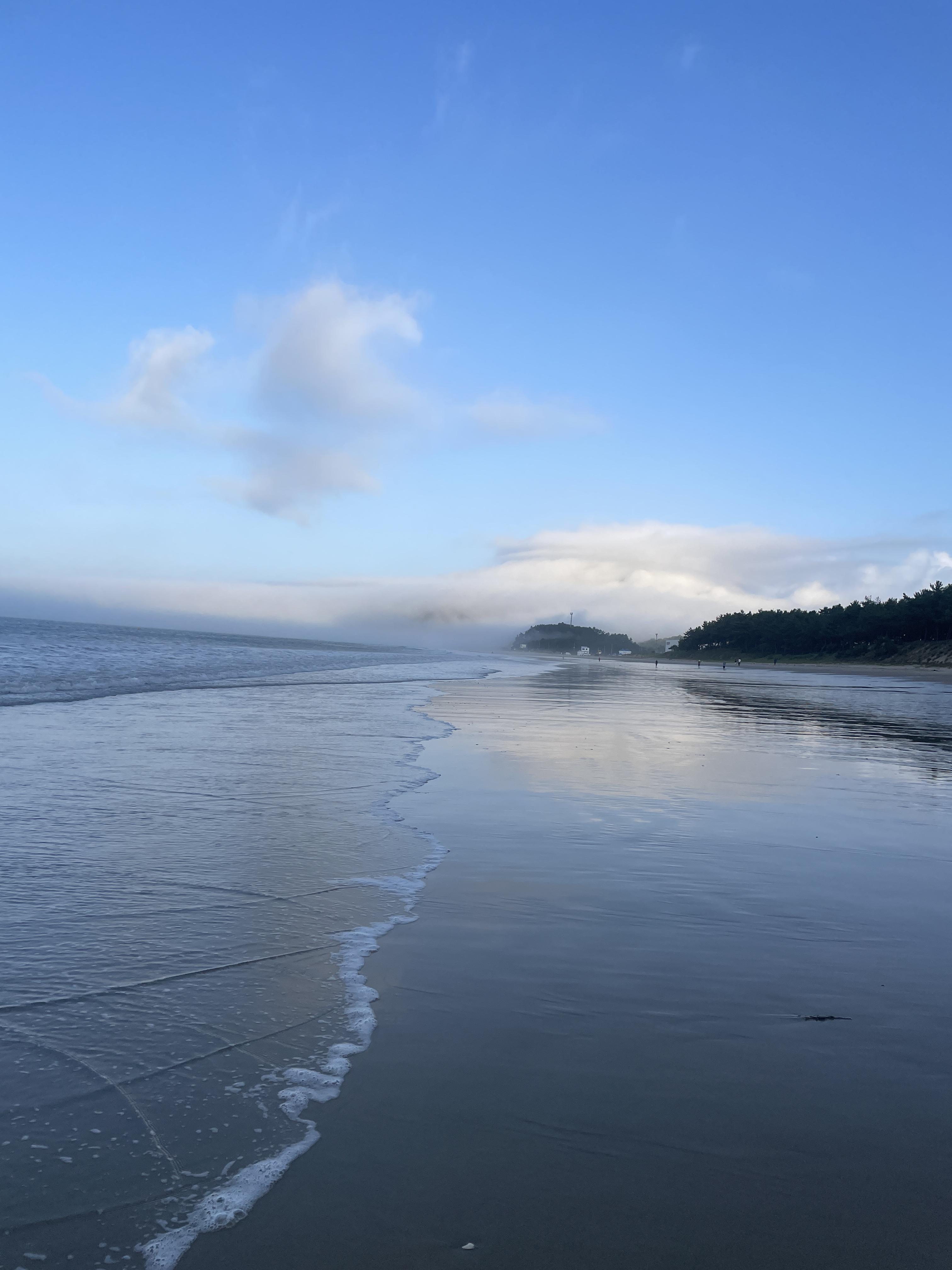 완도명사십리 해양치유센터 & 가성비 있는 완도독채펜션에서 쉼을!