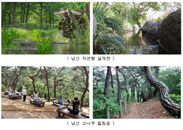 새롭게 단장한 서울의 힐링숲 명소 두군데