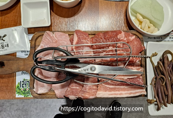 거북이동네-가족세트