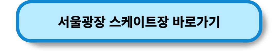 서울의 스케이트장 (20)