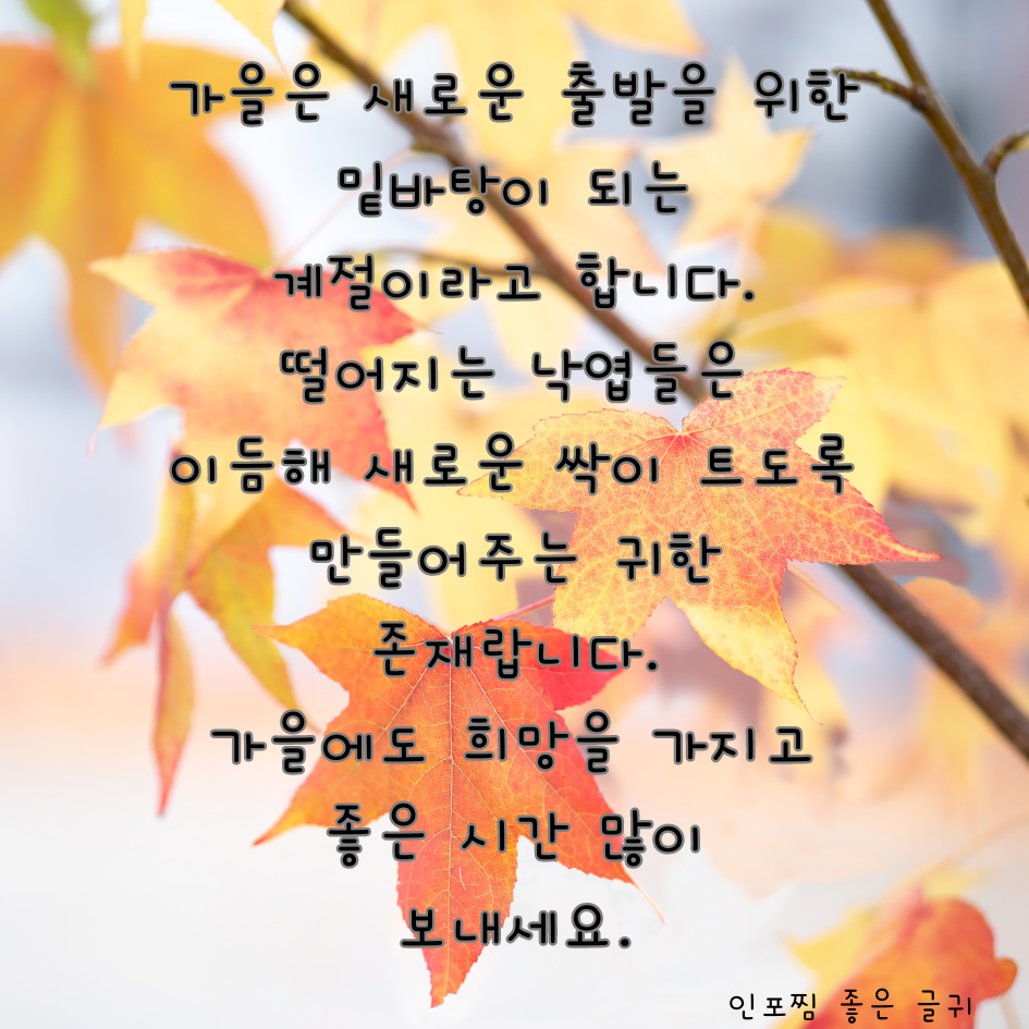 가을 인사말 문구 이미지 모음집 가을 아침 인사말 안부 메세지 모음