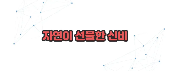 동충하초 효능 이보다 자세히 설명할순없다