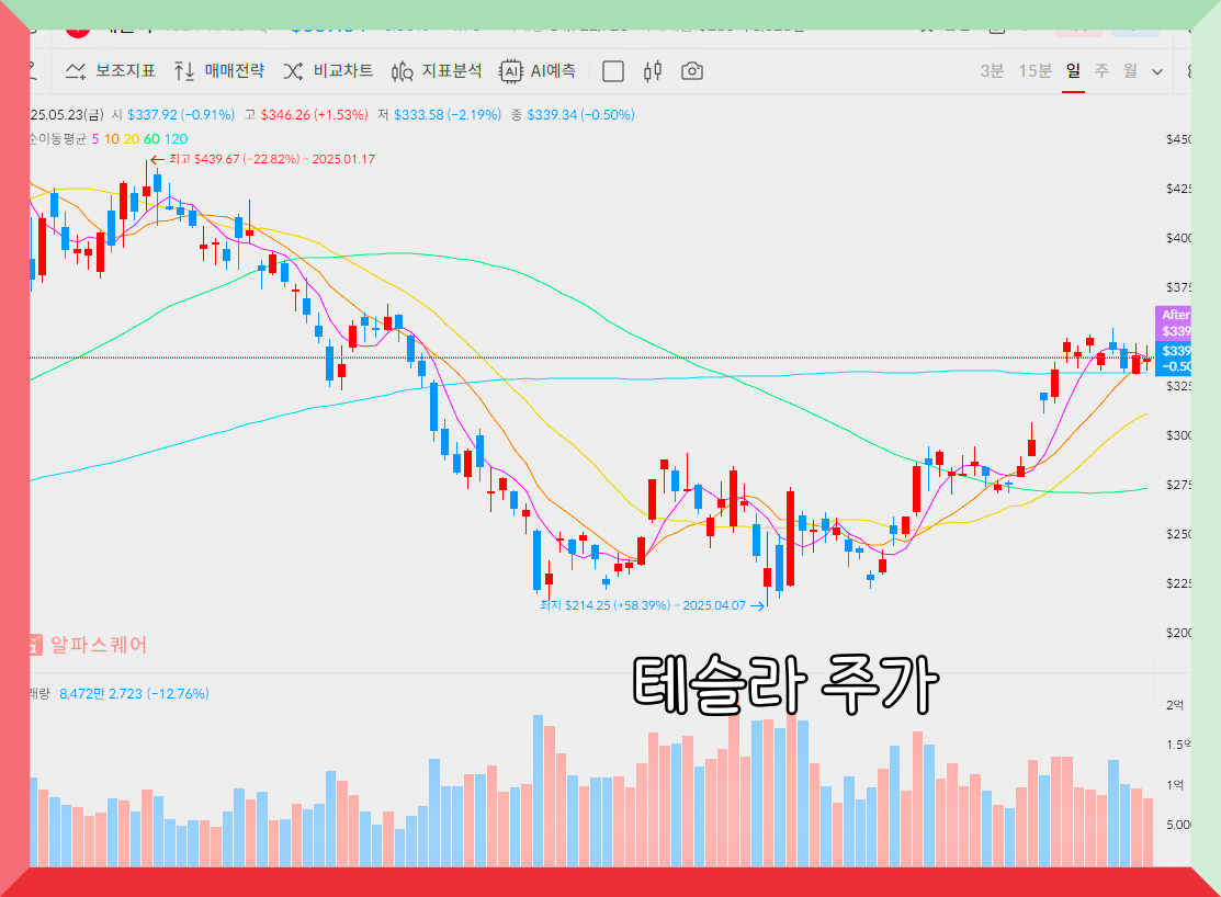 테슬라 주가 전망