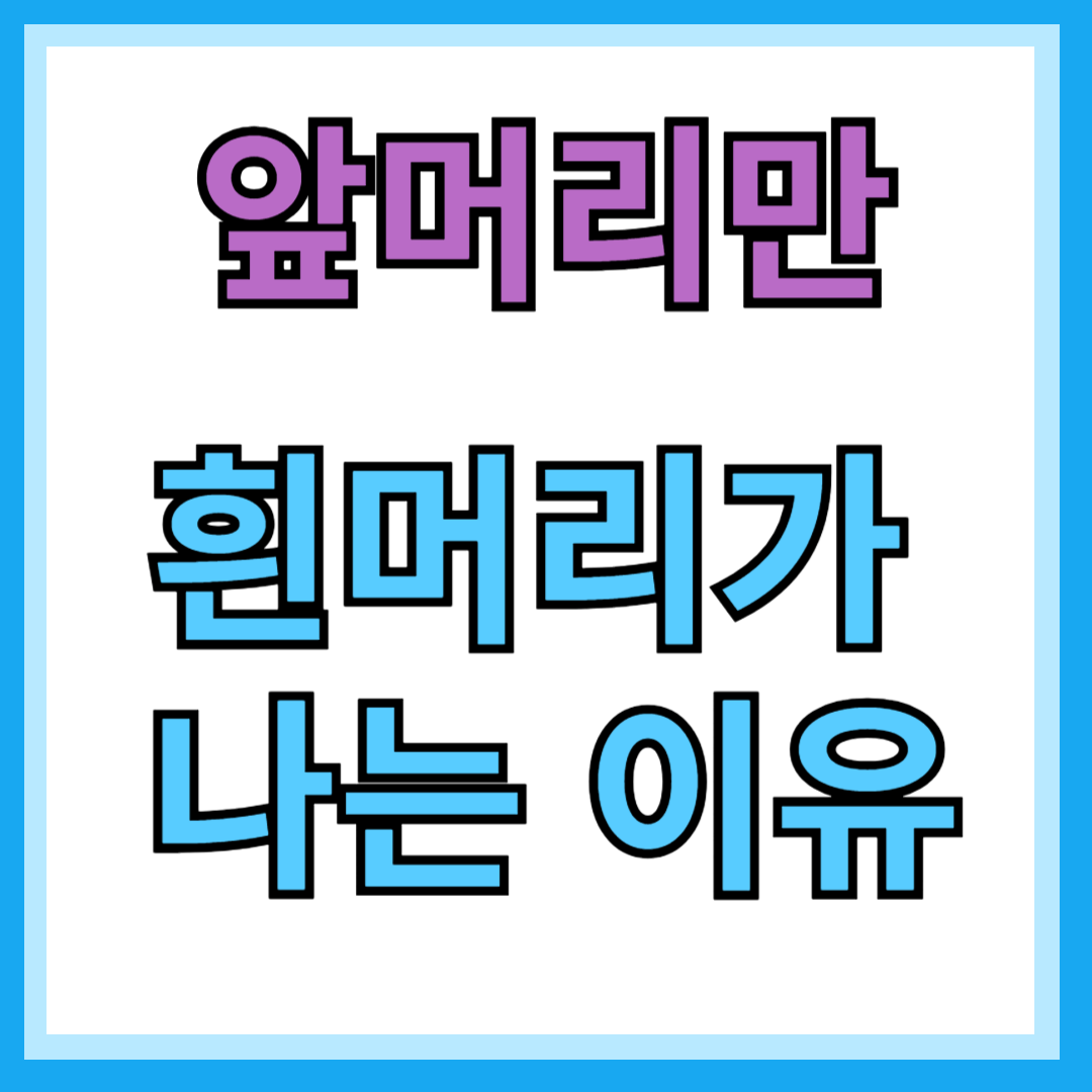 앞머리 흰머리