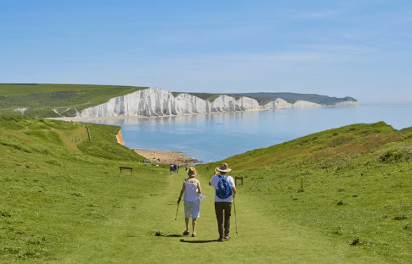 IRP 계좌 방치하면 손해! 수익률 높이는 운용법