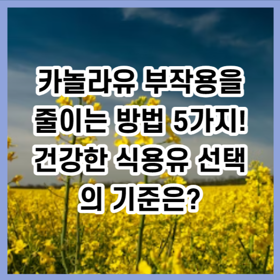 카놀라유 부작용을 줄이는 방법 5가지! 건강한 식용유 선택의 기준은?