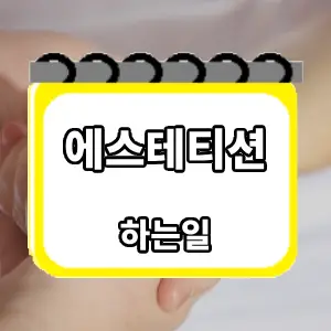 하는일