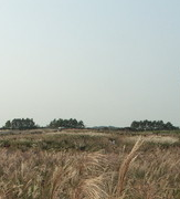 전국 수목원 BEST 5 – 자연의 품으로 떠나는 진짜 힐링 여행