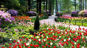 아침고요수목원 봄꽃 페스타