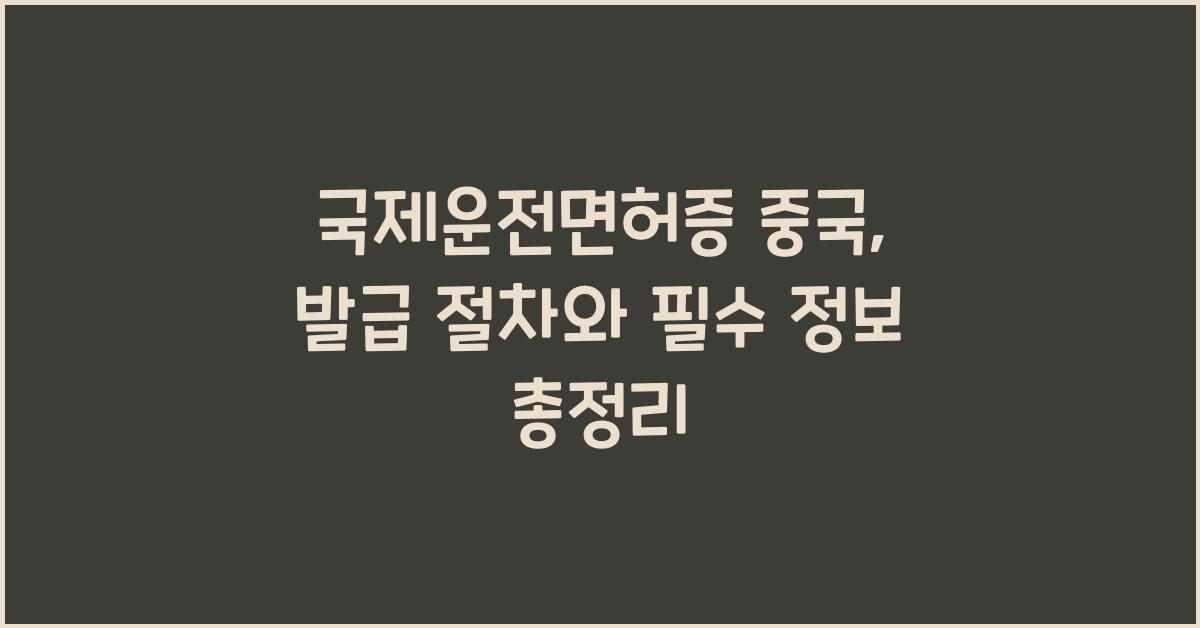 국제운전면허증 중국