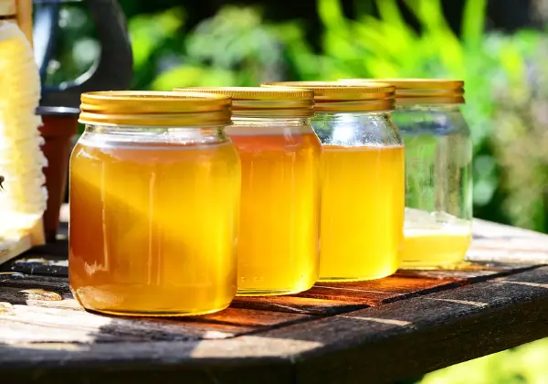 저혈당-좋은음식-꿀