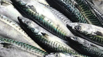 콜레스테롤 낮추는 음식