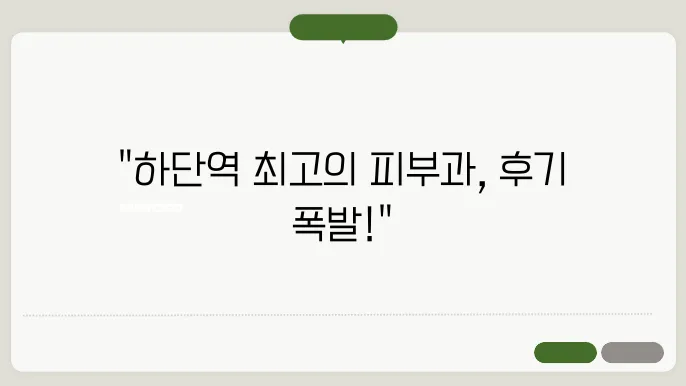 리프팅 효과 정보