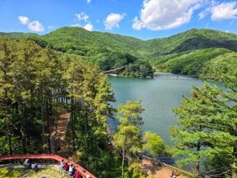 파주 가볼만한곳 베스트10 여행 코스 맛집_14