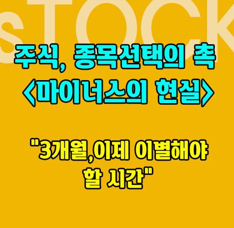 주식매매로 선택한 3종목 수익률비교