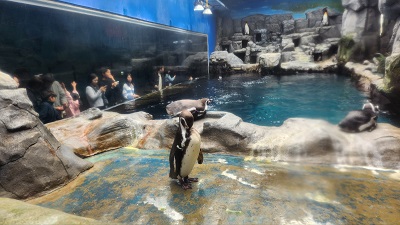 아쿠아플라넷 제주