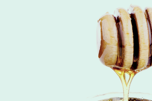 프로폴리스 효능