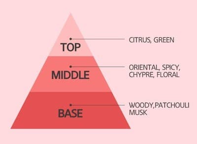 향수의 주요 구성