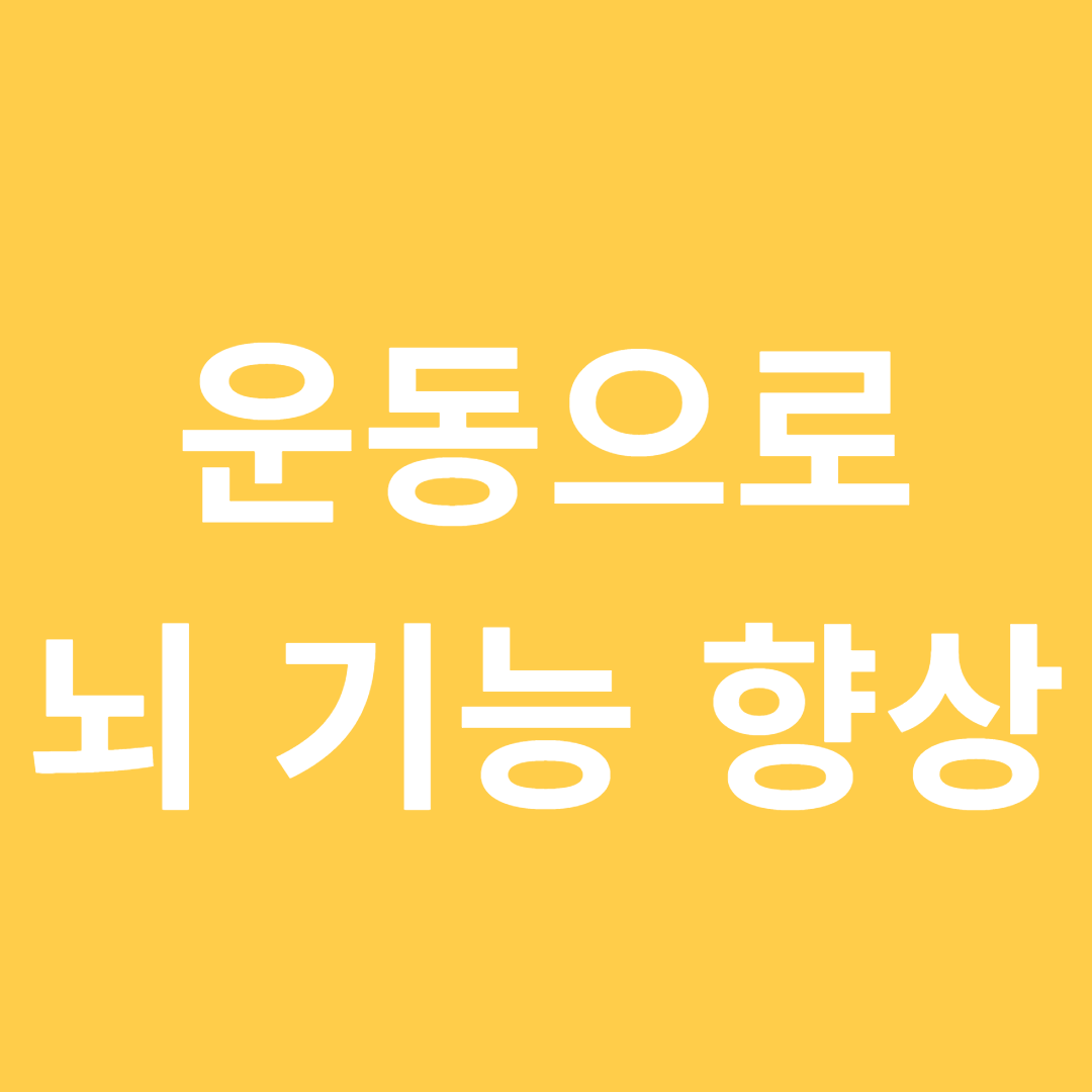 운동으로 뇌 기능 향상시키는 법