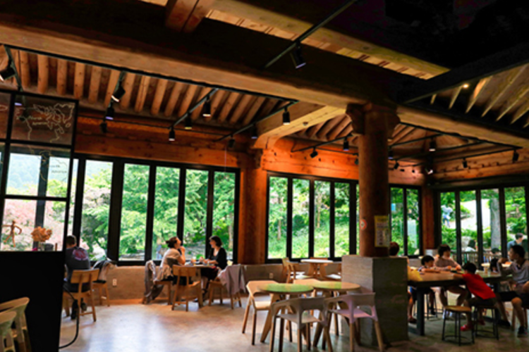 아침고요 수목원